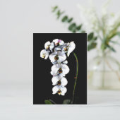 White Orchid Briefkaart (Staand voorkant)