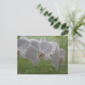 White Orchid Briefkaart (Staand voorkant)