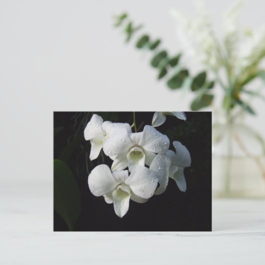 White Orchid Briefkaart (Staand voorkant)