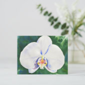 White Orchid Briefkaart (Staand voorkant)