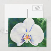 White Orchid Briefkaart (Voorkant / Achterkant)