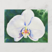 White Orchid Briefkaart (Voorkant)