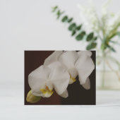 White Orchid Briefkaart (Staand voorkant)