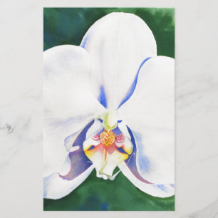 White Orchid Briefpapier
