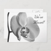 White Orchid Change of Address Announcement Aankondigingskaart (Voorkant / Achterkant)