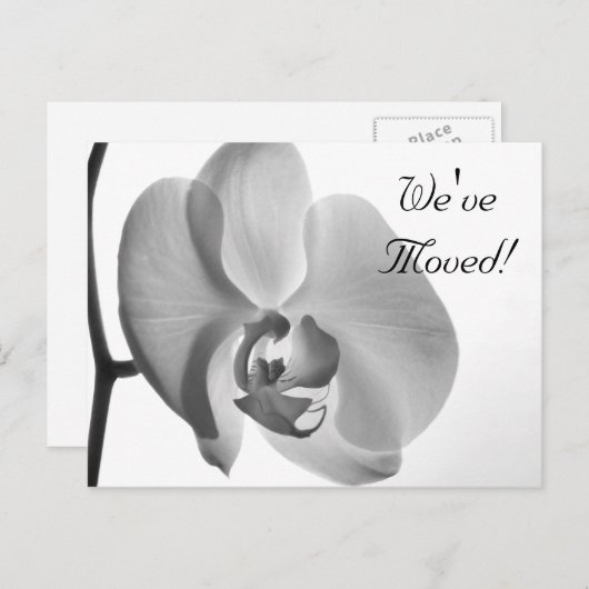 White Orchid Change of Address Announcement Aankondigingskaart (Voorkant / Achterkant)