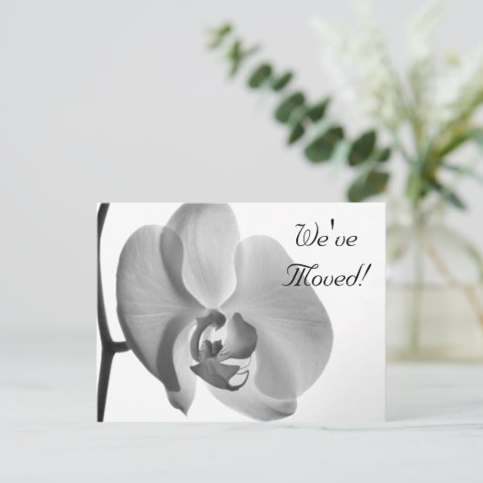 White Orchid Change of Address Announcement Aankondigingskaart (Staand voorkant)