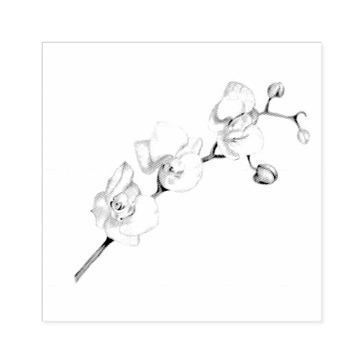 White Orchid Dream Elegant Feminine Chic Art Rubberstempel (Afrduk)