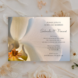 White Orchid Elegance Wedding Kaart