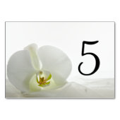 White Orchid en Bridal Veil Wedding Table Numbers Kaart (Achterkant)