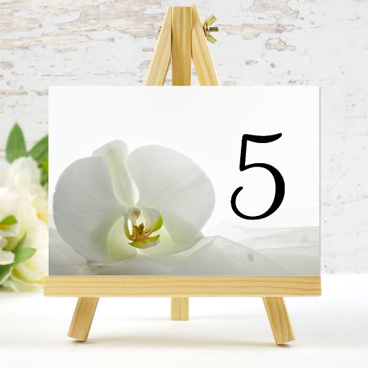 White Orchid en Bridal Veil Wedding Table Numbers Kaart