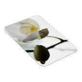 White Orchid Flexible Photo Magnet Magneet (Rechterzijde)