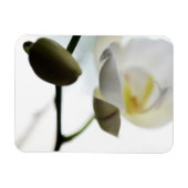 White Orchid Flexible Photo Magnet Magneet (Horizontaal)