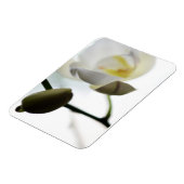 White Orchid Flexible Photo Magnet Magneet (Linkerzijde)
