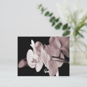 White Orchid Flower Black Achtergrond Abstract Briefkaart (Staand voorkant)