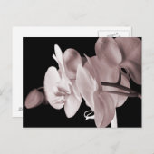White Orchid Flower Black Achtergrond Abstract Briefkaart (Voorkant / Achterkant)