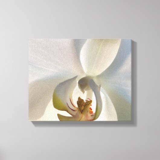 White Orchid Flower Blossom Canvas Afdruk (Voorkant)