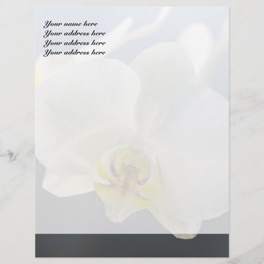 White Orchid Flower Briefhoofd Ontwerp (Voorkant)