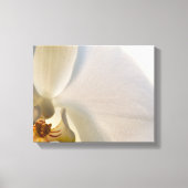 White Orchid Flower Close Canvas Afdruk (Voorkant)