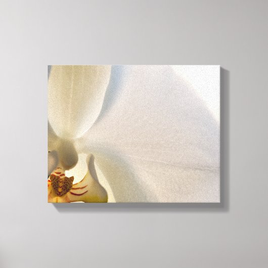 White Orchid Flower Close Canvas Afdruk (Voorkant)