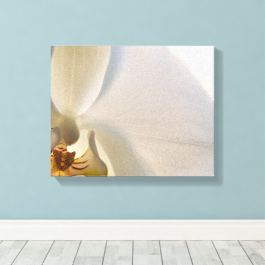 White Orchid Flower Close Canvas Afdruk (Insitu (Houten vloer))