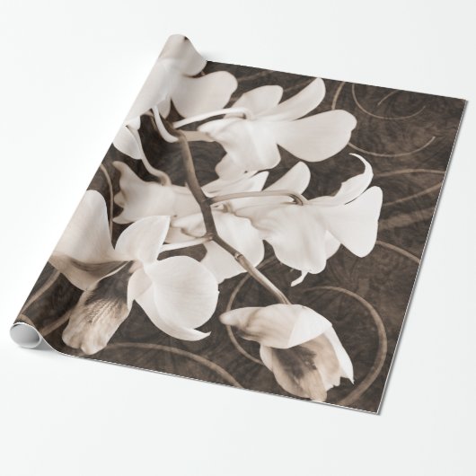 White Orchid Flower Sepia Black Background floral Cadeaupapier (Uitgerold)