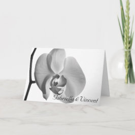 White Orchid Flower Wedding