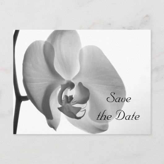 White Orchid Flower Wedding Save the Date Aankondigingskaart (Voorkant)