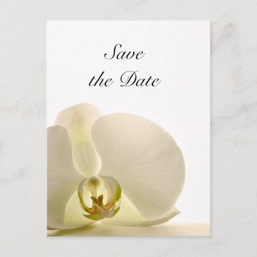White Orchid Flower Wedding Save the Date Aankondigingskaart (Voorkant)
