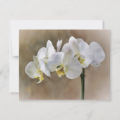 White Orchid Flowers Art Note Card Set  Notitiekaartje (Voorkant)