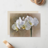 White Orchid Flowers Art Note Card Set  Notitiekaartje (Voorkant / Achterkant in situ)