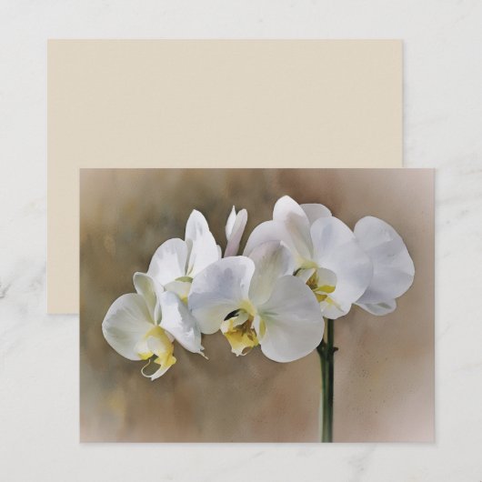 White Orchid Flowers Art Note Card Set  Notitiekaartje (Voorkant / Achterkant)