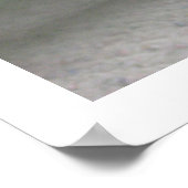 White Orchid Flowers Bouquet Poster Prints (Hoek)