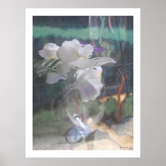 White Orchid Flowers Bouquet Poster Prints (Voorkant)