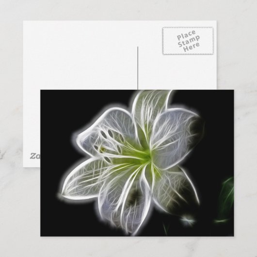 White Orchid Fractal op zwart Briefkaart (Voorkant / Achterkant)