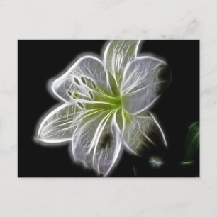 White Orchid Fractal op zwart Briefkaart