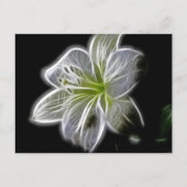 White Orchid Fractal op zwart Briefkaart (Voorkant)
