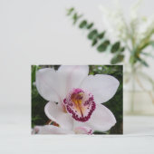 White Orchid I Beauful Tropical Flower Briefkaart (Staand voorkant)