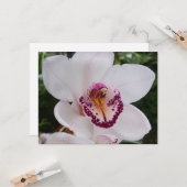 White Orchid I Beauful Tropical Flower Kaart (Voorkant / Achterkant in situ)