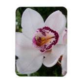 White Orchid I Beauful Tropical Flower Magneet (Verticaal)
