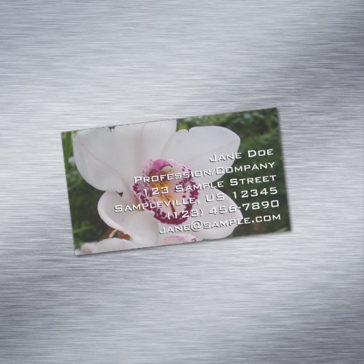 White Orchid I Beauful Tropical Flower Magnetisch Visitekaartje (Voorbeeld)