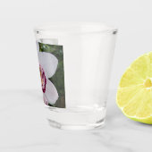 White Orchid I Beauful Tropical Flower Shot Glas (Rechts)