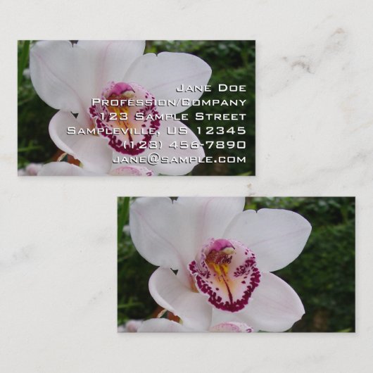 White Orchid I Beauful Tropical Flower Visitekaartje (Voorkant / Achterkant)