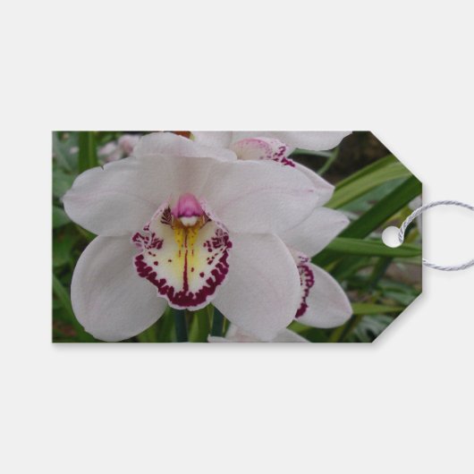 White Orchid II Elegant Floral Cadeaulabel (Voorkant (Horizontaal))