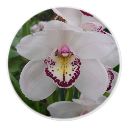 White Orchid II Elegant Floral Keramische Knop (Voorkant)