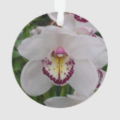 White Orchid II Elegant Floral Ornament (achterkant)