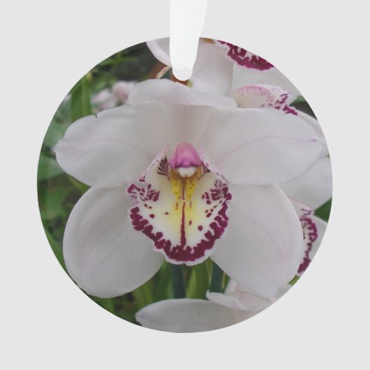 White Orchid II Elegant Floral Ornament (voorkant)