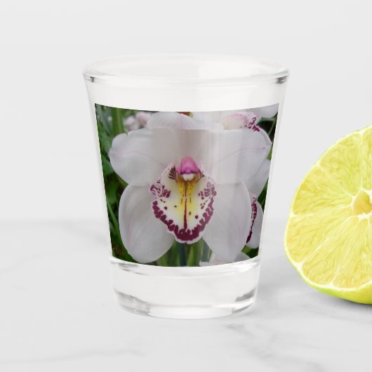 White Orchid II Elegant Floral Shot Glas (Voorkant)