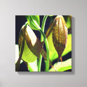 White Orchid Lady Slipper Flower Pair Canvas Afdruk (Voorkant)
