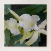 White Orchid Legpuzzel (Horizontaal)